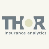 THOR Insurance Analytics logo - Similar company to Xedaris Gmbh