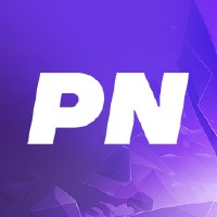 Paynow Services Inc logo - Similar company to Paynow System