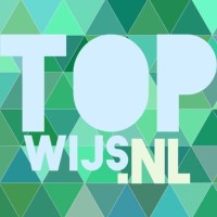 Topwijs logo - Similar company to Jonge Kind Centrum