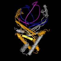 Innovative Discovery Partners logo - Similar company to Beta Cat Pharmaceuticals