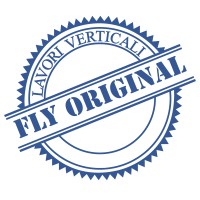 Fly Original logo - Similar company to Pixcube.It