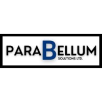 Parabellum Solutions Ltd. logo - Similar company to Parabellum