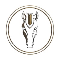 Volthena logo - Similar company to Chears