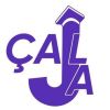 Çemberlitaş High School Entrepreneurship Club logo - Similar company to Calcformatics