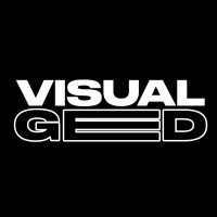VisualGed logo - Similar company to Plutus