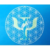 PSICOLOGIA DE LA MUJER logo - Similar company to Better U | Psicología Positiva By Caro Mejía