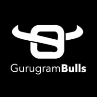 Gurugram Bulls logo - Similar company to Opendg Noida