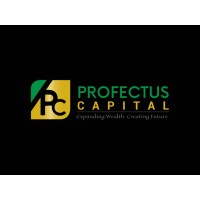 Profectus Capital Limited logo - Similar company to Profectus Capital Pvt. Ltd