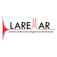 LAREMAR - Laboratório de Ressonância Magnética de Alta Resolução da UFMG logo - Similar company to Clínica Radius