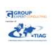 Expert Consulting Group logo - Similar company to Finarima