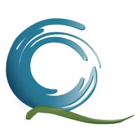 Qi Mountain logo - Similar company to Coral