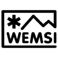 WEMSI International logo - Similar company to Solco - Solution Consultants Ict Ltd