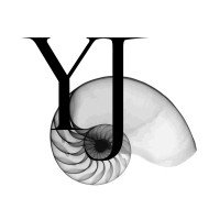Yaiza Julia Visuals