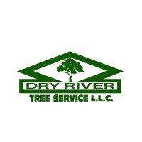 Dry River Tree Service