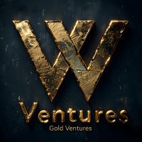 Gold Ventures Ltd - 金创业有限公司 logo - Similar company to Thinkteal