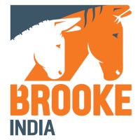 Brooke Hospital for Animals (India) logo - Similar company to Bark India Charitable Trust