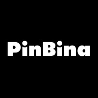 PinBina logo - Similar company to Down Creators