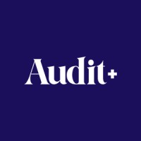 AuditPlus Contabilidade logo - Similar company to Plano Mais Bpo Financeiro