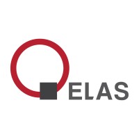 ELAS GmbH logo - Similar company to Wm Technics