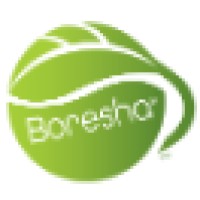 Boresha International logo - Similar company to Aurico