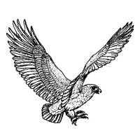 Peregrine Partners, Inc. logo - Similar company to Altumatim
