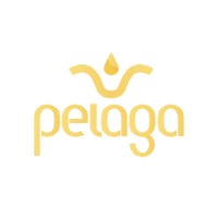 PT Pelaga Makmur Sejahtera logo - Similar company to Smite Asia