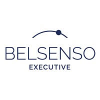 Belsenso Executive logo - Similar company to Amba Cosec