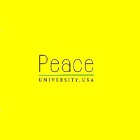 Peace.University, USA logo - Similar company to Basit