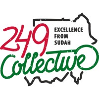 249 Collective logo - Similar company to Moshiz