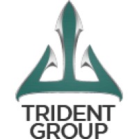 Trident Group America, Inc logo - Similar company to Trident Group