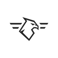 Falken Aerospace logo - Similar company to Win Max Technologies