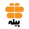 pileeh group logo - Similar company to Rasad.Co