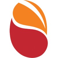 Synapse XTL logo - Similar company to Peritos Solutions
