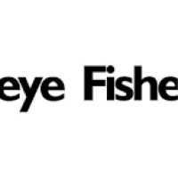 Fisheye Creative Solutions logo - Similar company to Spela Learning And Development Pvt. Ltd.