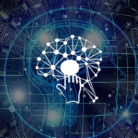 Insight Consulting Sl