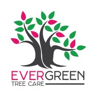Evergreen Tree Care logo - Similar company to Evergreen Tree Care (Bay Area)
