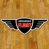 Arkansas Flight logo - Similar company to Vimhue