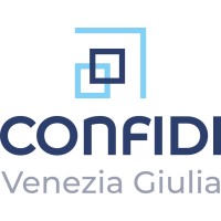 Confidi Venezia Giulia logo - Similar company to Ipe Confidi