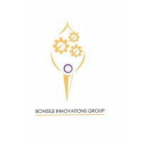 Bonisile Innovations Group (Pty) Ltd logo - Similar company to Techdriven