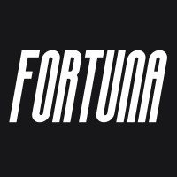 Fortuna Capital logo - Similar company to Transforma Center
