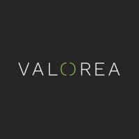 VALOREA logo - Similar company to Datasight Consulting