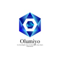 Olumiyo Construction & Suppliers (PTY) Ltd logo - Similar company to Big E Construction