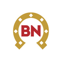 Bom Negócio Produtos Agropecuários logo - Similar company to Park Maquinas Agricolas