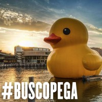 #BUSCOPEGA logo - Similar company to Busco Trabajo