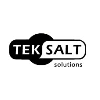 TekSalt Solutions logo - Similar company to Ayecode Ltd