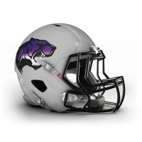 Bethel University Wildcats Baseball