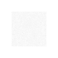 A A International logo - Similar company to Aa International Ltd