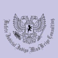 Bufete Judicial Índigo MindBridge Consulting logo - Similar company to Ondasfm #1Latin Radio