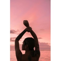 We Are Orion logo - Similar company to Datasek Systems