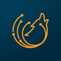 Nymeria Technology logo - Similar company to Nymeria
